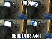 ibroi вышел из афк