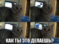  как ты это делаешь?