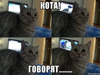 кота! говорят........