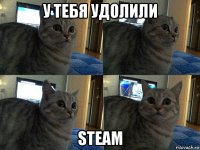 у тебя удолили steam