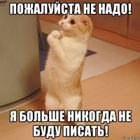 пожалуйста не надо! я больше никогда не буду писать!