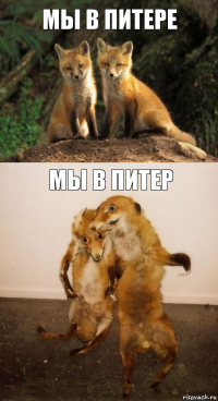 Мы в Питере Мы в Питер