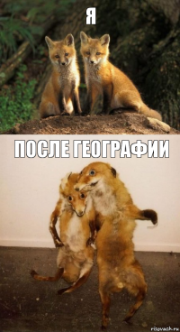 Я После географии