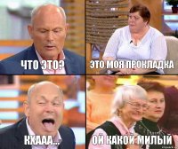 Это моя прокладка Что это? КХААА... ой какой милый