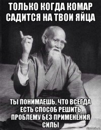 только когда комар садится на твои яйца ты понимаешь, что всегда есть способ решить проблему без применения силы