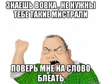 знаешь вовка , не нужны тебе такие мистрали поверь мне на слово блеать