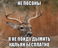 не посоны я не пойду дымить кальян бесплатно