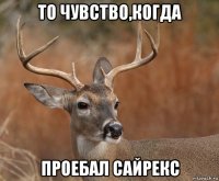 то чувство,когда проебал сайрекс