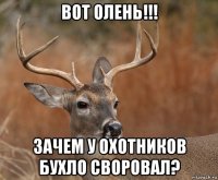 вот олень!!! зачем у охотников бухло своровал?