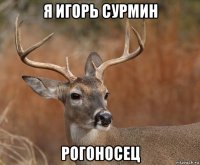 я игорь сурмин рогоносец