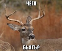 чего бьять?