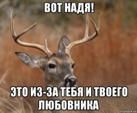 вот надя! это из-за тебя и твоего любовника