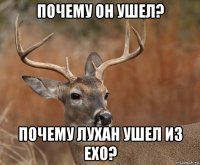 почему он ушел? почему лухан ушел из exo?