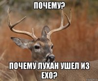 почему? почему лухан ушел из exo?