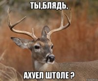 ты,блядь, ахуел штоле ?