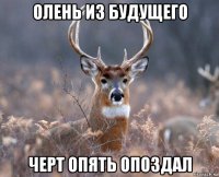 олень из будущего черт опять опоздал