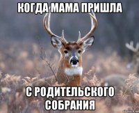 когда мама пришла с родительского собрания