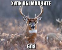 хули вы молчите бля