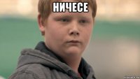 ничесе 