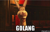  golang