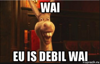 wai eu is debil wai