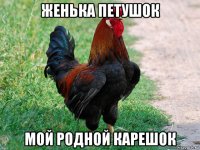 женька петушок мой родной карешок