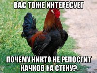 вас тоже интересует почему никто не репостит качков на стену?