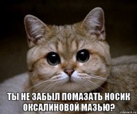  ты не забыл помазать носик оксалиновой мазью?