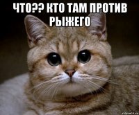 что?? кто там против рыжего 