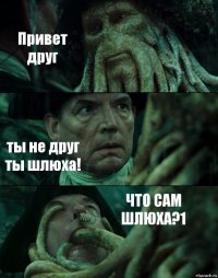 Привет друг ты не друг ты шлюха! ЧТО САМ ШЛЮХА?1