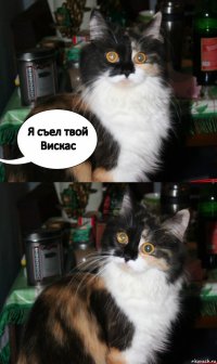 Я съел твой Вискас