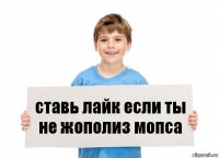 ставь лайк если ты не жополиз мопса