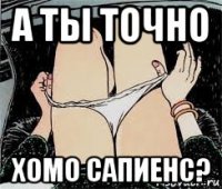 а ты точно хомо сапиенс?