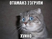 отаманз 23групи хуйко