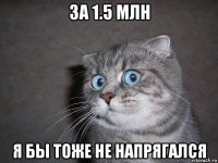 за 1.5 млн я бы тоже не напрягалcя