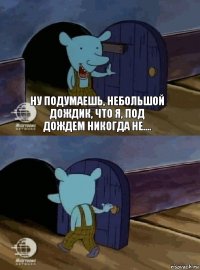 Ну подумаешь, небольшой дождик, что я, под дождем никогда не.... 