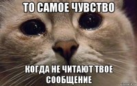 то самое чувство когда не читают твое сообщение