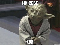 ни себе хуя