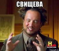 свищева 