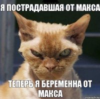 я пострадавшая от макса теперь я беременна от макса