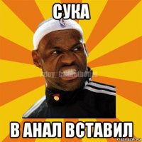 сука в анал вставил