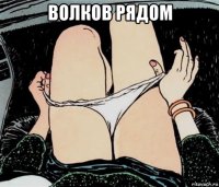 волков рядом 