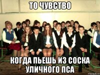 то чувство когда пьешь из соска уличного пса