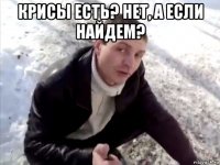 крисы есть? нет, а если найдем? 