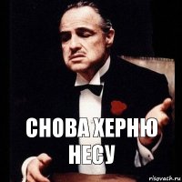 Снова херню несу