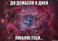 до дембеля 9 дней люблю тебя...