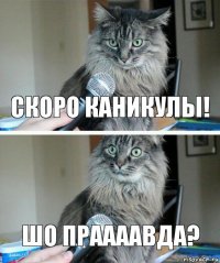 Скоро каникулы! Шо праааавда?