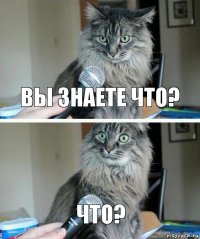 Вы знаете что? ЧТО?