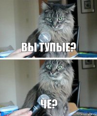 Вы тупые? че?