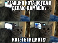 реакция кота когда я делаю домашку кот: ты идиот!?